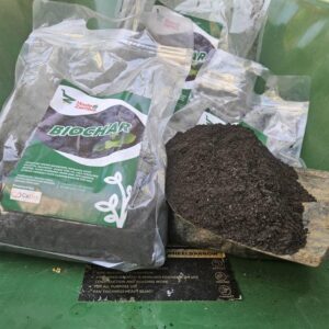 Biochar
