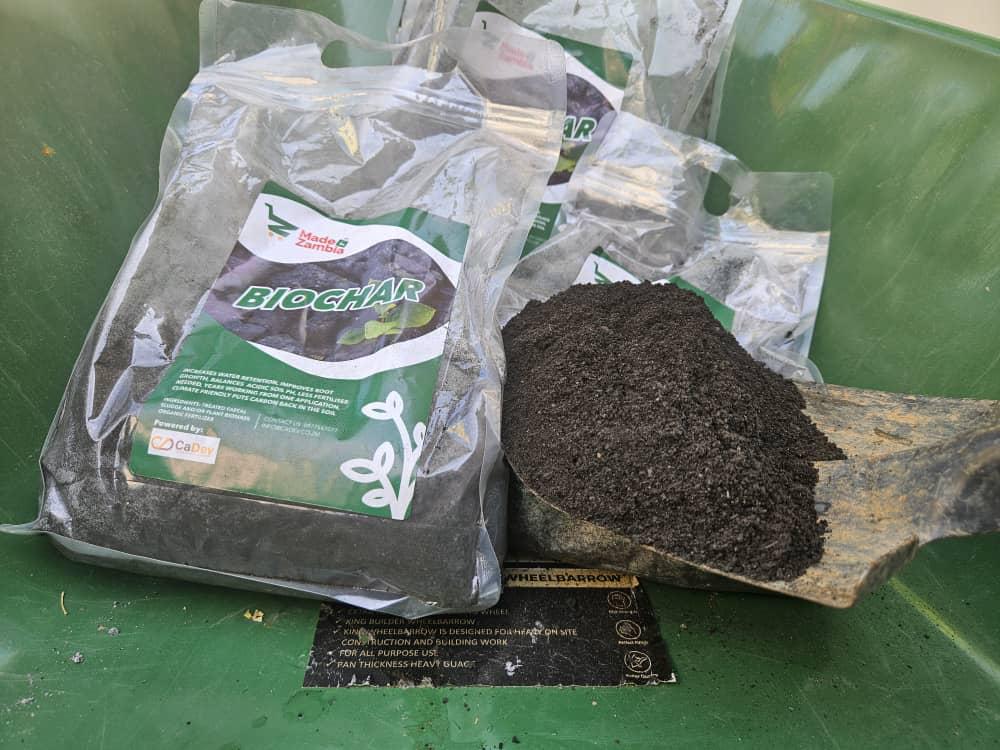 Biochar - Image 2
